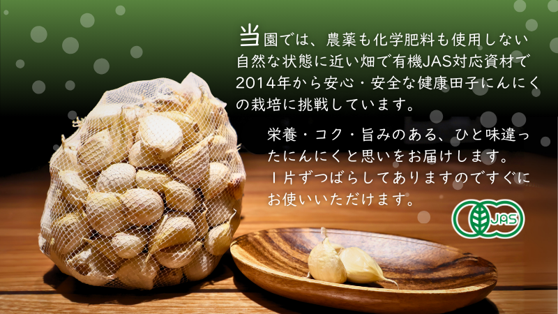 やまもと農産のオーガニックにんにく（バラ）1kg