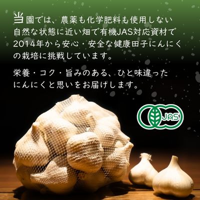 やまもと農産のオーガニックにんにく Mサイズ 1kg