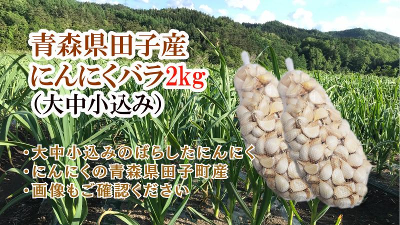 青森県田子産にんにくバラ（訳あり）2kg