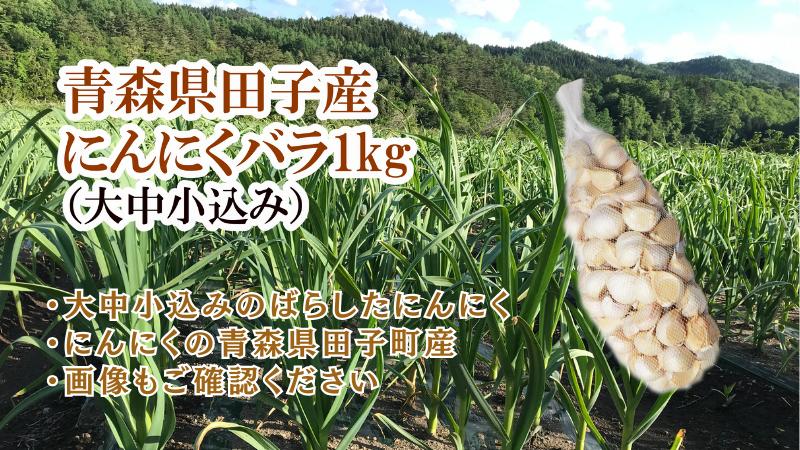 青森県田子産にんにくバラ（訳あり）約1kg