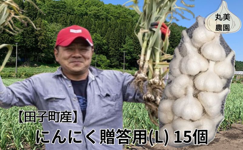 丸美農園 田子産贈答用にんにく（L）15個