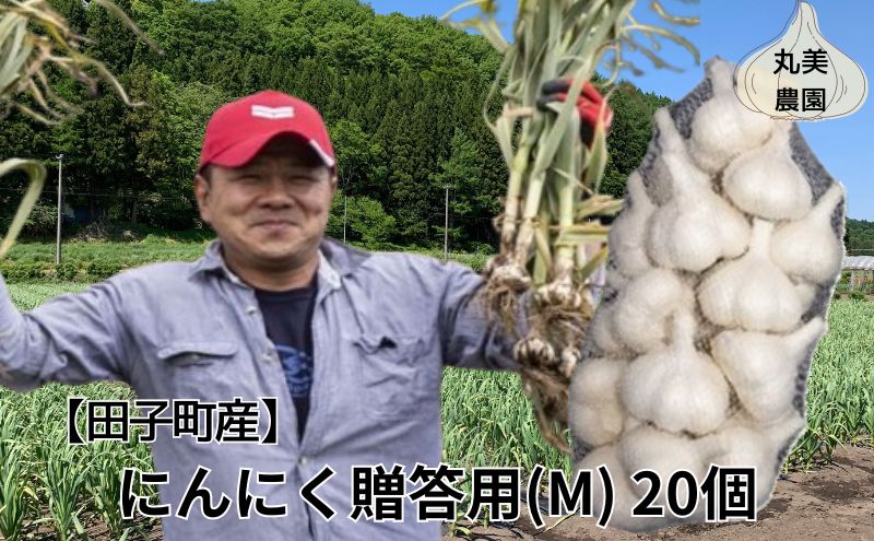 丸美農園 田子産贈答用にんにく（M）20個