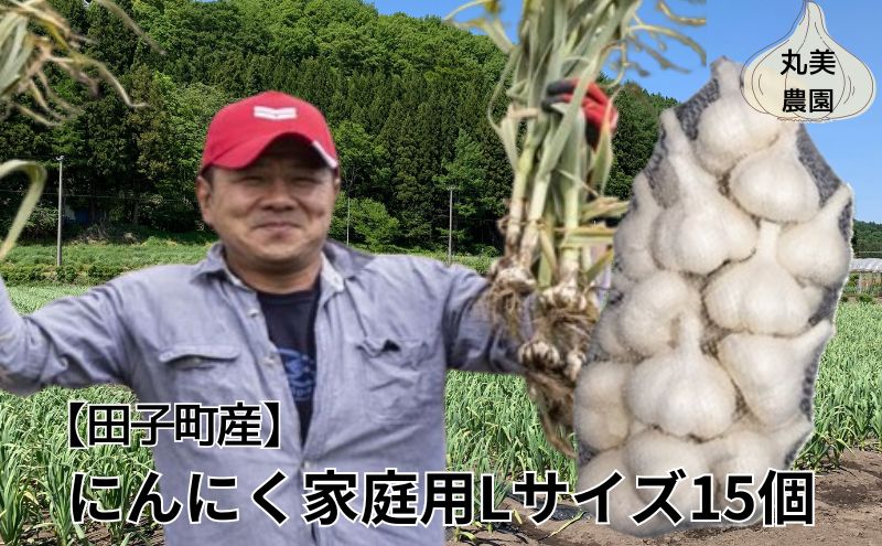丸美農園 田子産にんにく家庭用Lサイズ 15個