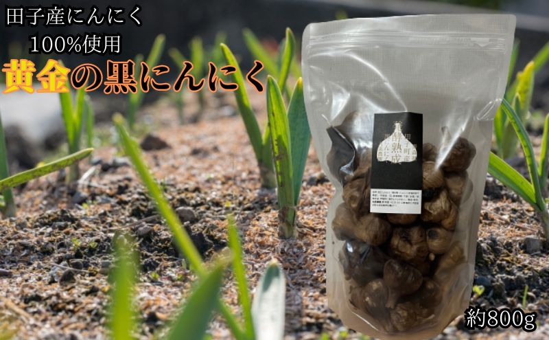 丸美農園 田子町産【遠赤外線熟成】黄金の黒にんにく(S～Mサイズ)約800g