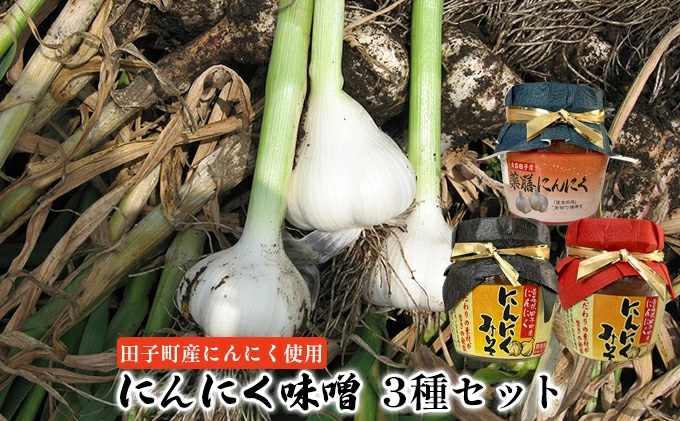 にんにく味噌3種セット【田子町産にんにく使用】