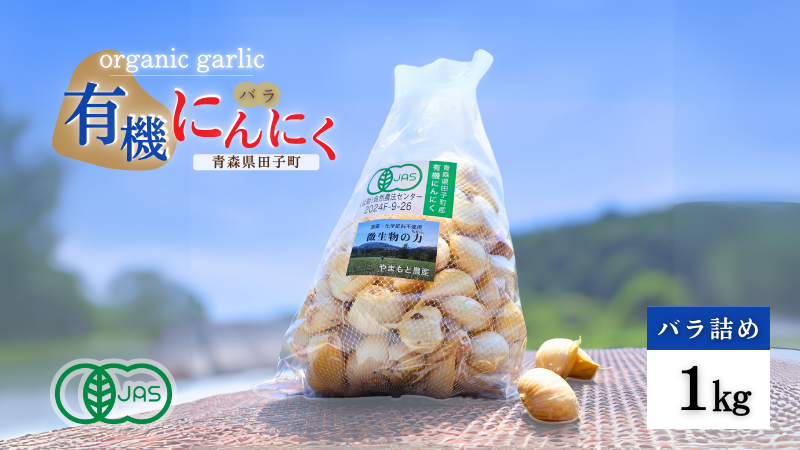 やまもと農産のオーガニックにんにく（バラ）1kg