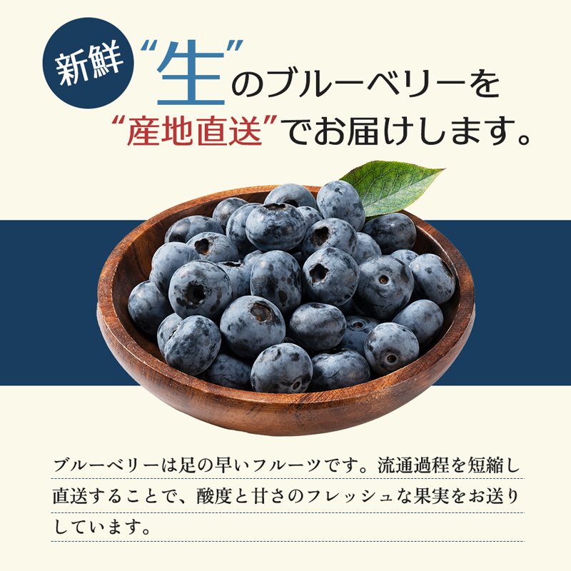 訳あり ブルーベリー 2kg 生ブルーベリー 国産ブルーベリー 国産 フルーツ 果物 くだもの 旬のフルーツ 旬の果物 季節のフルーツ 季節の果物 わけあり果物 訳ありフルーツ キズ 訳アリ 岩手 岩手県 盛岡市