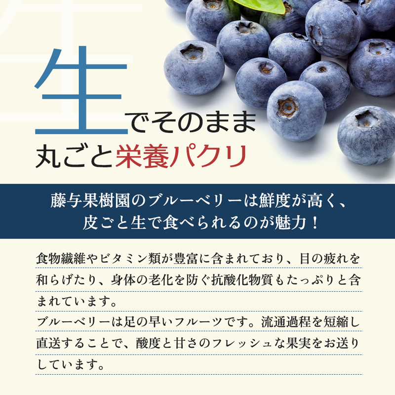 訳あり ブルーベリー 2kg 生ブルーベリー 国産ブルーベリー 国産 フルーツ 果物 くだもの 旬のフルーツ 旬の果物 季節のフルーツ 季節の果物 わけあり果物 訳ありフルーツ キズ 訳アリ 岩手 岩手県 盛岡市