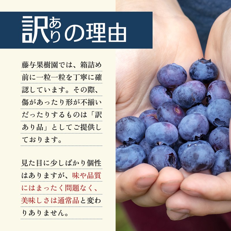訳あり ブルーベリー 2kg 生ブルーベリー 国産ブルーベリー 国産 フルーツ 果物 くだもの 旬のフルーツ 旬の果物 季節のフルーツ 季節の果物 わけあり果物 訳ありフルーツ キズ 訳アリ 岩手 岩手県 盛岡市