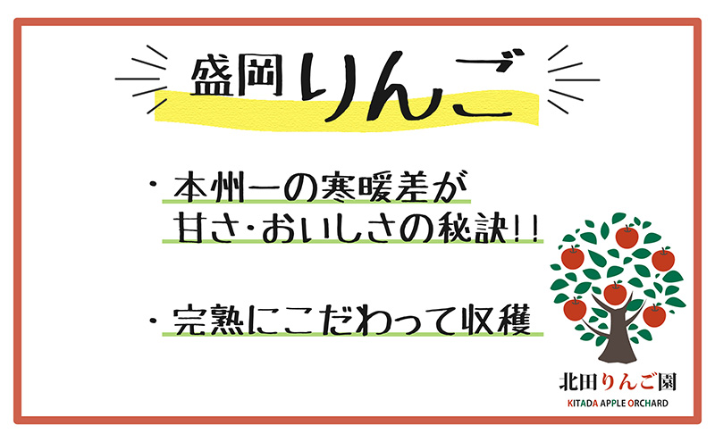 先行予約【1月発送】盛岡北田りんご園 完熟サンふじ＆シナノゴールド詰め合わせ 約5kg（14～20玉） 果物類 王様 果汁 甘 酸味 バランス 晩生種 代表 黄色い シャッキシャキ 濃厚 人気 貯蔵性
