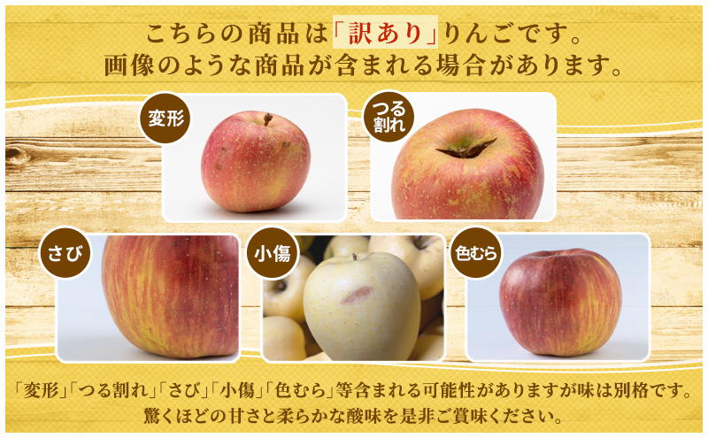 先行予約 訳あり りんご はるか 5kg 16玉 樹上完熟 林檎 リンゴ 果物 くだもの フルーツ 旬の果物 旬のフルーツ 季節の果物 季節のフルーツ 岩手りんご 訳アリ 直送 岩手 岩手県 盛岡市