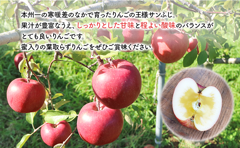 先行予約 りんご 完熟 サンふじ ジョナゴールド 3kg 8～12玉 セット 詰め合わせ 完熟りんご 林檎 リンゴ 果物 フルーツ 旬の果物 旬のフルーツ 季節の果物 季節のフルーツ 岩手りんご 岩手 岩手県 盛岡市