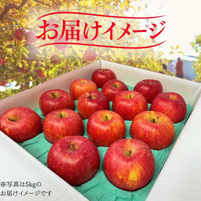 【12月上旬~発送】 りんご サンフジ 5kg 先行予約 訳あり 家庭用 りんご 果物 くだもの フルーツ 林檎 リンゴ サンふじ サンフジ 産地直送 新鮮 旬 国産 冬 訳アリ りんご おすすめ わけあり 岩手県 盛岡市 東北 岩手 盛岡 ふじむら農園 fujimura005