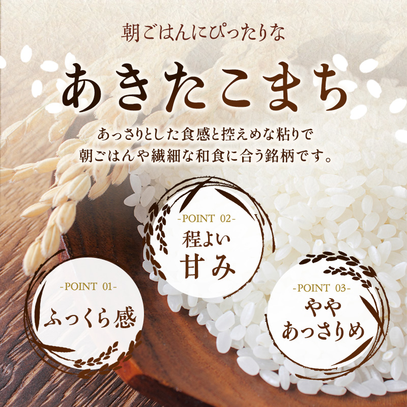 【12か月定期便】盛岡市産あきたこまち5kg×12か月
