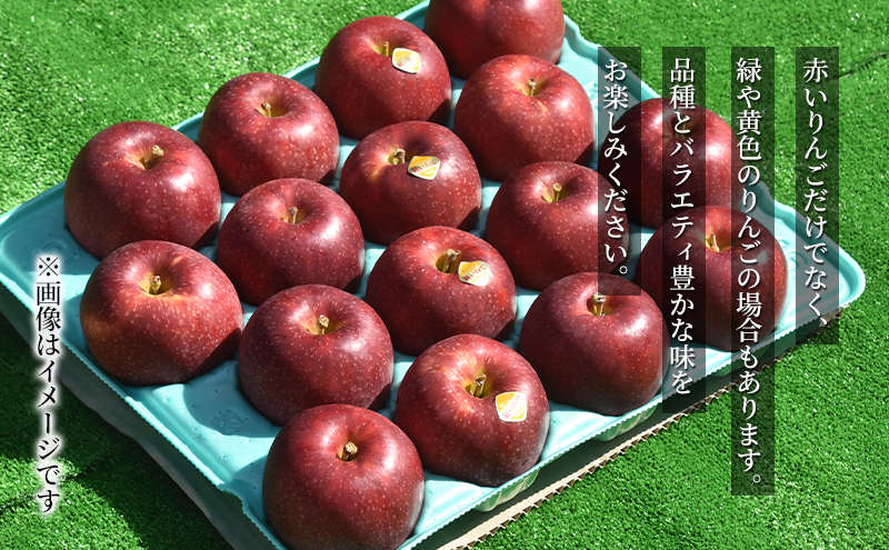 【先行予約】9月便　りんご工房きただ　旬の盛岡りんご「季節便」約5kgりんご