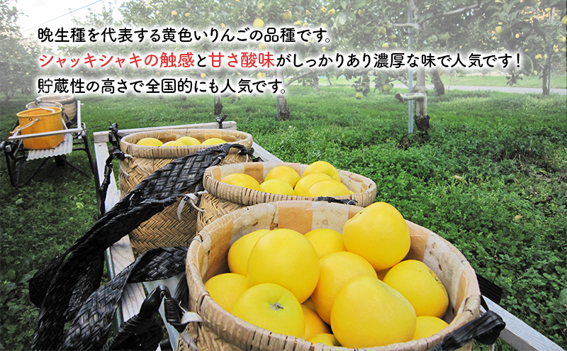 先行予約 りんご 完熟 サンふじ ジョナゴールド 3kg 8～12玉 セット 詰め合わせ 完熟りんご 林檎 リンゴ 果物 フルーツ 旬の果物 旬のフルーツ 季節の果物 季節のフルーツ 岩手りんご 岩手 岩手県 盛岡市