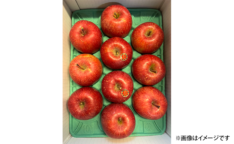 りんご 先行予約 完熟 サンふじ 約 3kg (8～12玉) 北田りんご園 蜜入り 蜜 葉とらずりんご 葉とらず フルーツ 果物 冬 旬 旬のフルーツ 季節のフルーツ 先行 予約 林檎 岩手 岩手県 盛岡 盛岡市 12月発送　お届け：2024年12月1日～2024年12月30日