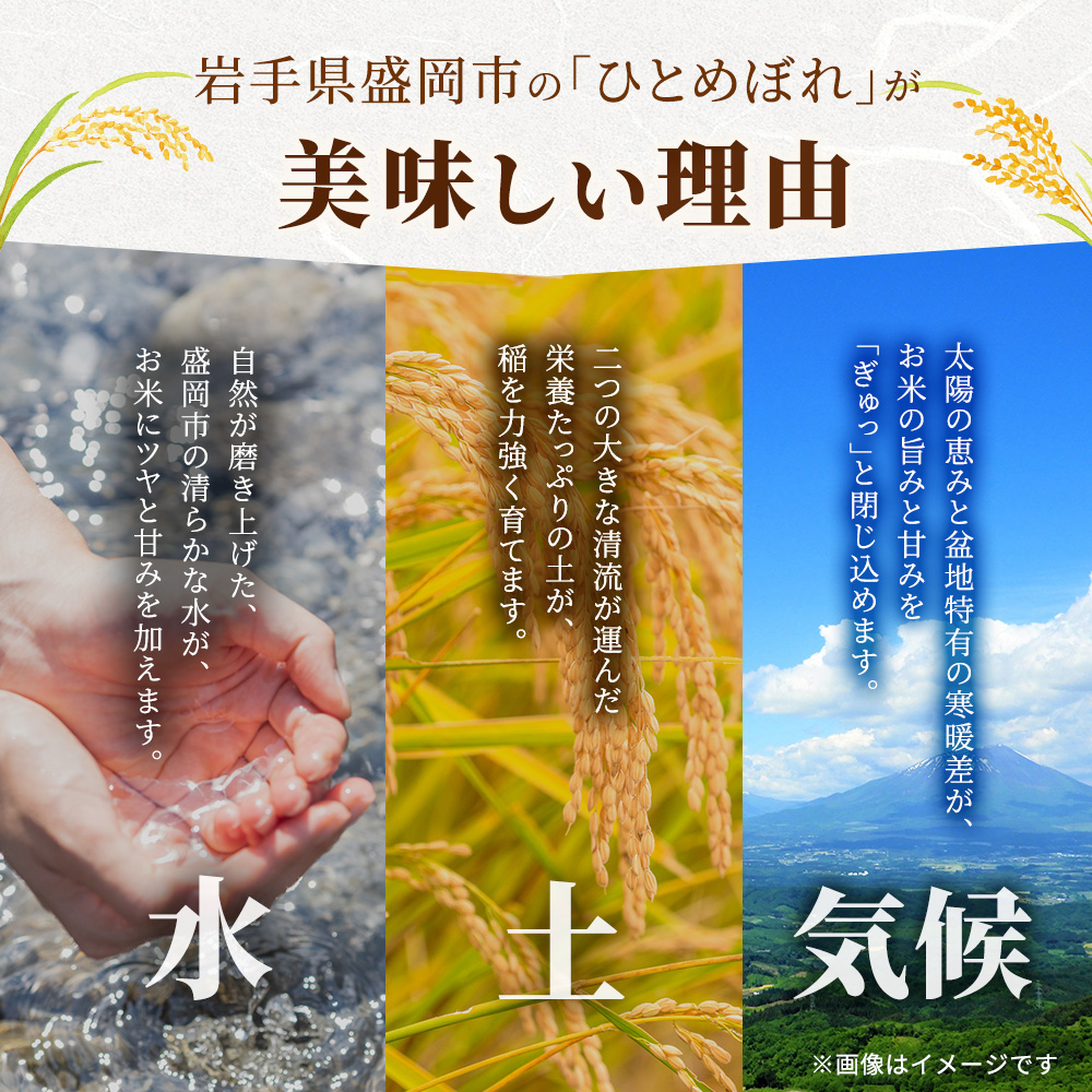 米 令和7年産 ひとめぼれ 10kg 岩手県産 お米 白米 精米 ブランド米 単一原料米 銘柄米 10キロ こめ コメ おこめ ご飯 ライス 岩手県産米 盛岡産 先行 予約 令和7年 2025 東北 岩手 岩手県 盛岡市