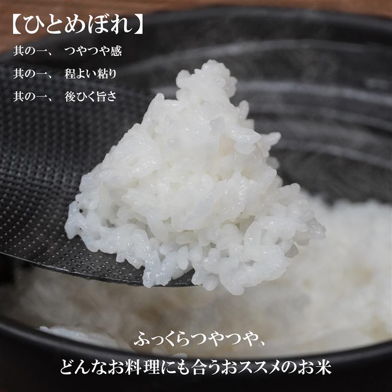 ひとめぼれ 無洗米 10kg 米 定期便 6回 6ヶ月 連続 お届け 盛岡市産 いわて米 ブランド米 精米 白米 米 お米 こめ コメ ライス ご飯 ごはん 美味しい おすすめ贈り物 国産 産地直送 盛岡 佐々木米穀店