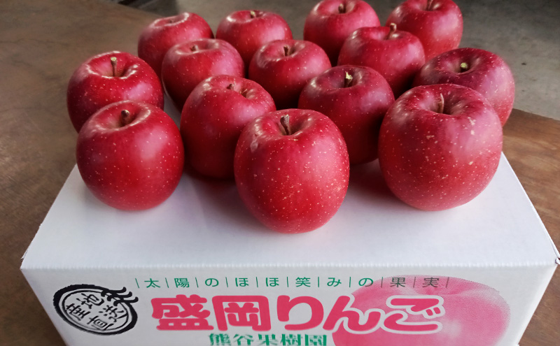 数量限定 先行予約 りんご サンふじ 約5kg 13～16玉入 11月下旬より出荷 有機肥料 無袋栽培 林檎 リンゴ 果物 フルーツ 旬の果物 旬のフルーツ 季節の果物 季節のフルーツ 岩手りんご 限定 岩手県 盛岡市