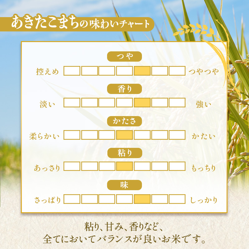 【6か月定期便】盛岡市産あきたこまち【無洗米】30kg×6か月
