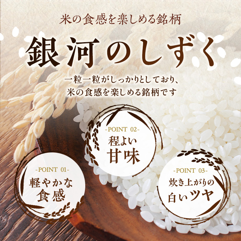 米 定期便 12ヶ月 五つ星お米マイスター推奨 銀河のしずく 無洗米 20kg × 12か月 佐々木米穀店 お米 20キロ 小分け 岩手 盛岡市産 白米 精米 特産 産地直送 おすすめ こめ コメ おこめ 送料無料 盛岡 岩手県 盛岡市 定期 お楽しみ 12回