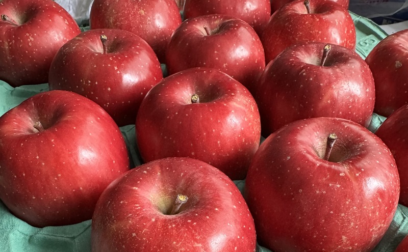 りんご 先行予約 家庭用 完熟 サンふじ 約 3kg (8～12玉) 田村ふぁーむ フルーツ 果物 冬 旬 旬のフルーツ 規格外 傷 不揃い 先行 予約 盛岡市産 林檎 リンゴ 岩手 岩手県 盛岡 盛岡市 12月発送　お届け：2025年12月1日～2025年12月25日