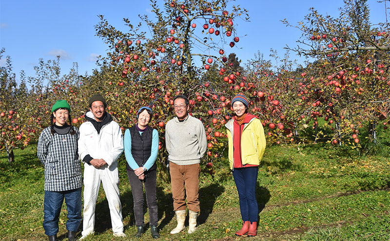 【先行予約】9月便　りんご工房きただ　旬の盛岡りんご「季節便」約5kgりんご