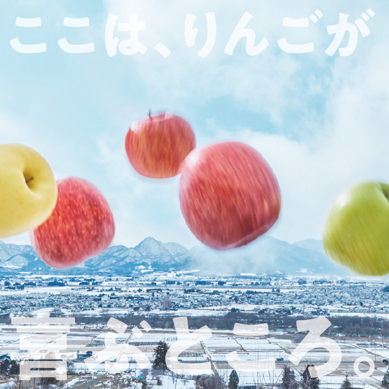 10月発送開始　りんご工房きただ　旬の盛岡りんご「定期便」約5kgりんご