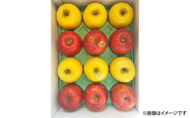 先行予約 りんご 完熟 サンふじ ジョナゴールド 3kg 8～12玉 セット 詰め合わせ 完熟りんご 林檎 リンゴ 果物 フルーツ 旬の果物 旬のフルーツ 季節の果物 季節のフルーツ 岩手りんご 岩手 岩手県 盛岡市