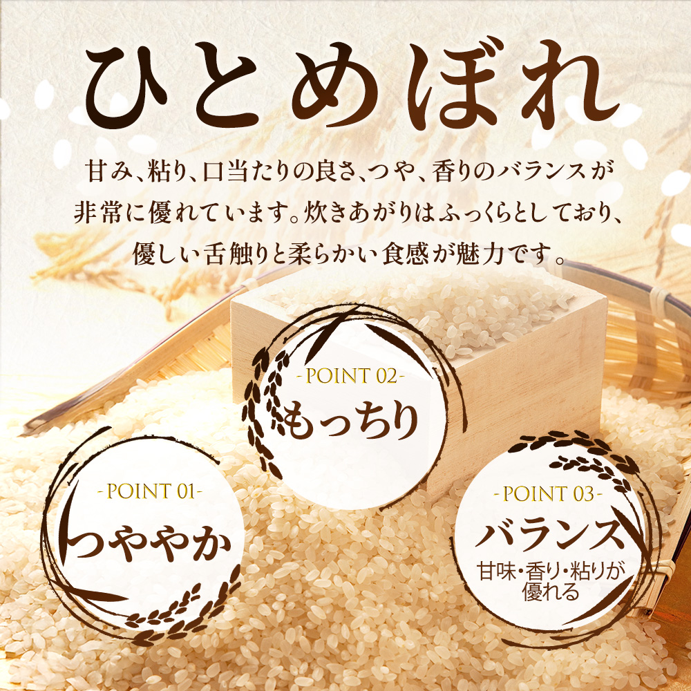 米 定期便 2ヶ月令和7年産 ひとめぼれ 10kg 岩手県産 お米 白米 精米 ブランド米 単一原料米 銘柄米 10キロ こめ おこめ ご飯 ライス 岩手県産米 令和7年 東北 岩手 岩手県 盛岡市 先行予約 定期 2回