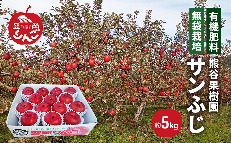 数量限定 先行予約 りんご サンふじ 約5kg 13～16玉入 11月下旬より出荷 有機肥料 無袋栽培 林檎 リンゴ 果物 フルーツ 旬の果物 旬のフルーツ 季節の果物 季節のフルーツ 岩手りんご 限定 岩手県 盛岡市