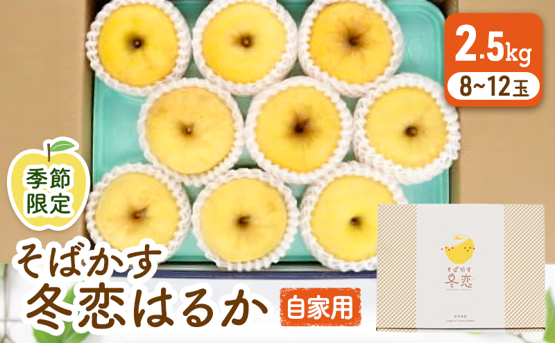 ★季節限定★そばかす冬恋（自家用／2.5kg）2025年産【季節限定・数量限定】