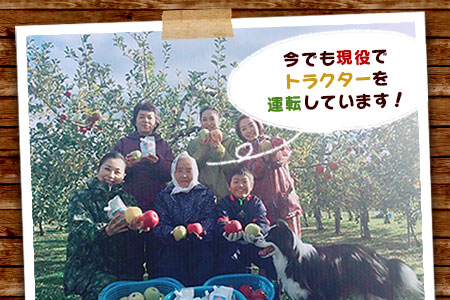 先行予約 さとう農園の葉とらずりんごで作る リンゴゼリー10パック おやつ デザート スイーツ 食後 2025年12月中旬より順次発送