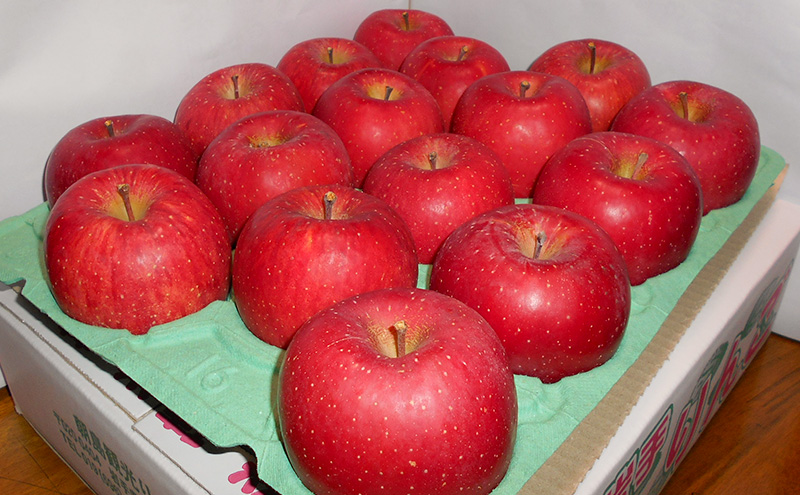 先行予約【12月発送】朝島観光りんご園 盛岡りんご「サンふじ」約5kg 果物類 フルーツ デザート 果汁 甘い 酸味 バランス 完熟