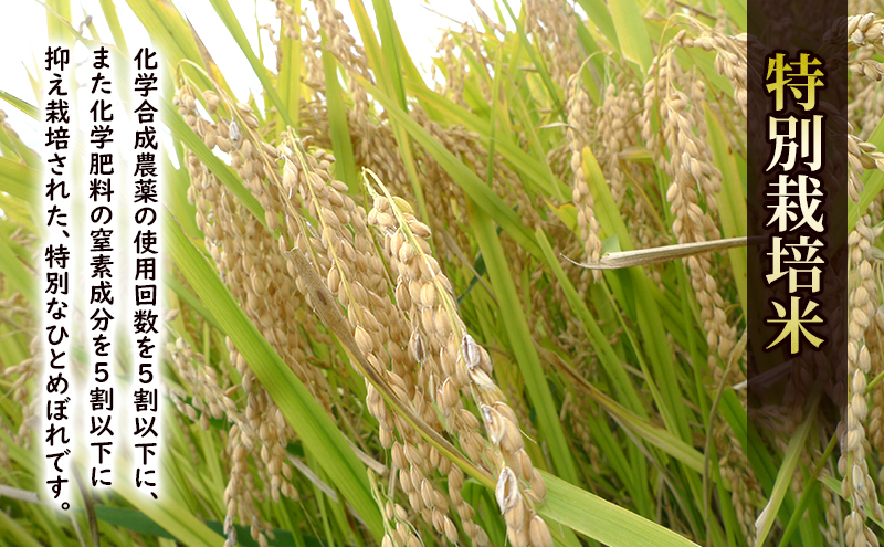 盛岡 大櫻農園 「ひとめぼれ 白米」10kg 特別栽培 一等米 2025年産 お米 精米 白米 こめ コメ おこめ ごはん ブランド米 常温 国産 岩手県 岩手 盛岡市産