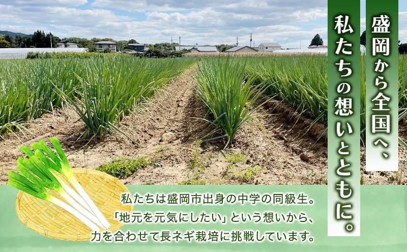 岩手県盛岡市産長ネギ 3kg ねぎ 新鮮 野菜 長ネギ 白ネギ 長ねぎ 白ねぎ 葱 国産 甘い 美味しい おいしい 鍋