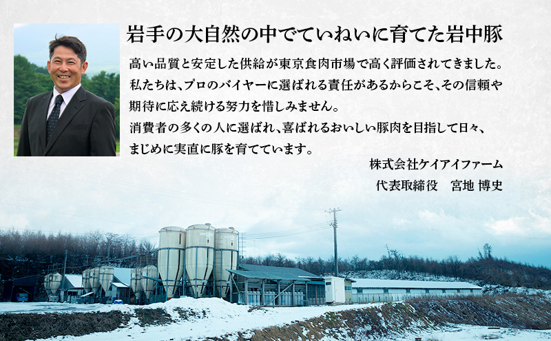岩中豚こま切れ (合計約1kg)  豚こま切れ 盛岡市 国産 豚肉 お肉 こま切れ 小間切れ 小間 コマ 便利 豚小間 豚コマ