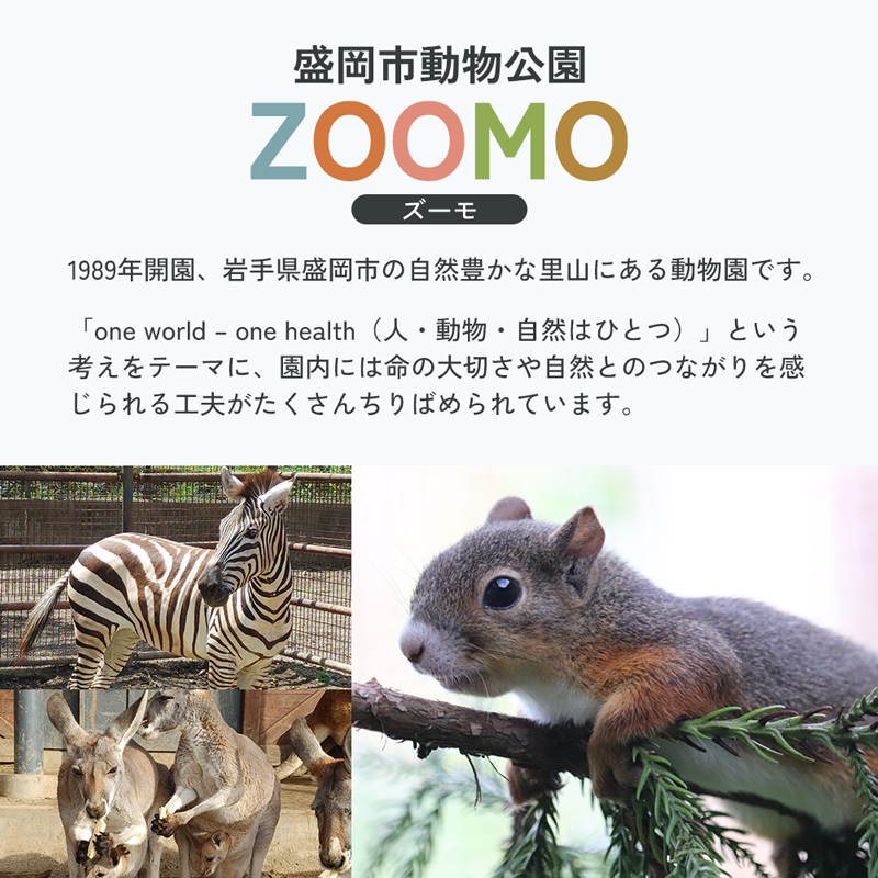 盛岡市動物公園ZOOMO入園チケット（小中学生10枚セット）