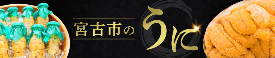 宮古市おすすめ　返礼品　うに