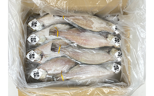 一夜干し宗八かれい4.6kgセット【配送不可地域：離島】