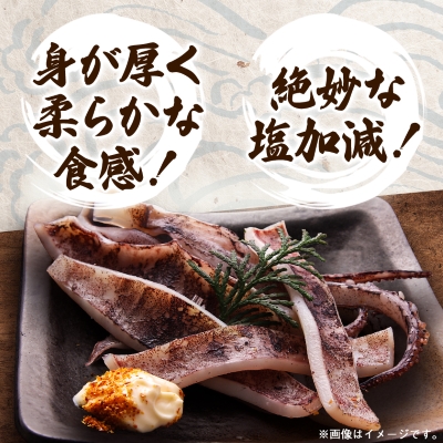 スルメイカの一夜干し5枚セット【配送不可地域：離島】