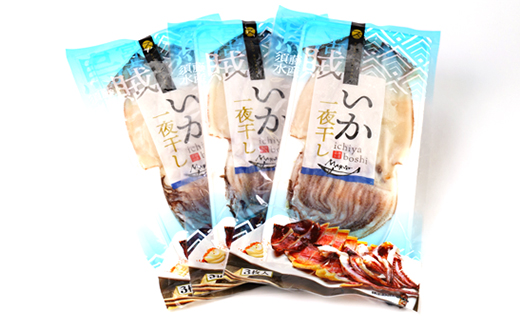 イカ一夜干し3枚入×3p【配送不可地域：離島】