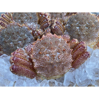 三陸活毛ガニ400g～500g×2匹【配送不可地域：離島・沖縄県・九州】