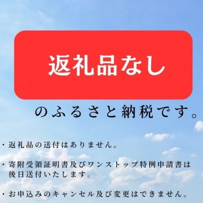 【返礼品なし】岩手県宮古市への寄附(50,000円)
