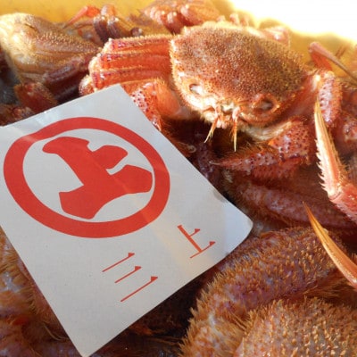 三陸宮古産　活毛ガニ　350g～400g×2杯【配送不可地域：離島・沖縄県・九州】