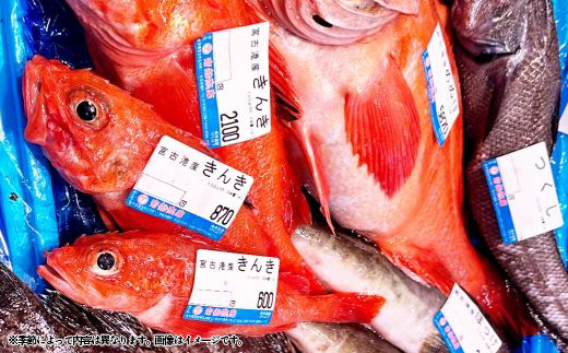 【三陸厳選】岩船商店おまかせ海産物詰め合わせセット【配送不可地域：離島・沖縄県・九州】