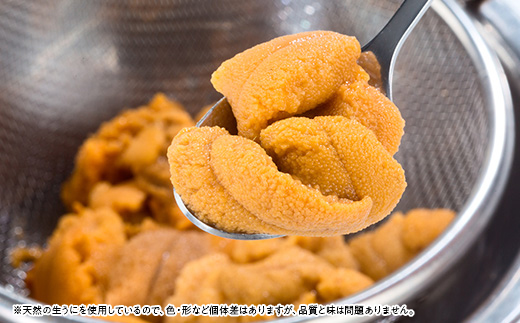 【2026年4月下旬以降順次発送】無添加生うに大瓶(150g×5本)岩手県産　ミョウバン不使用【配送不可地域：離島・北海道・沖縄県・近畿・中国・四国・九州】