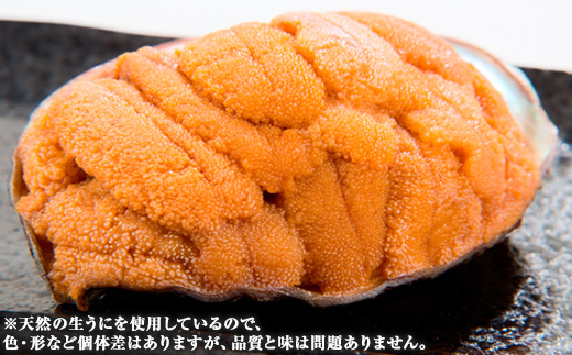 無添加焼うに1個・塩うに1本セット【配送不可地域：離島】