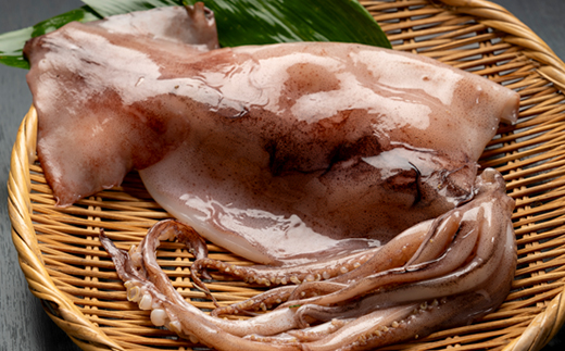 イカ一夜干し3枚入×3p【配送不可地域：離島】